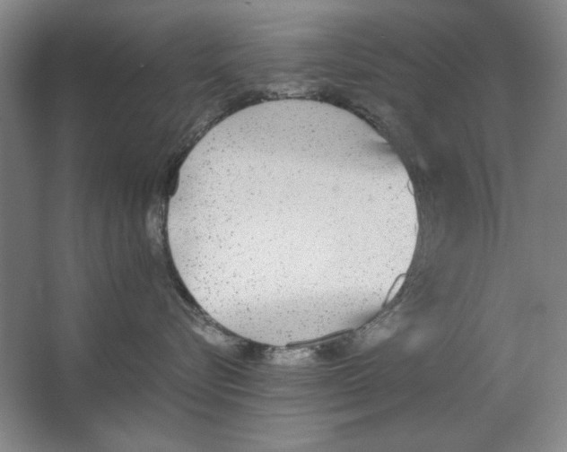 X0000062150576200512301556