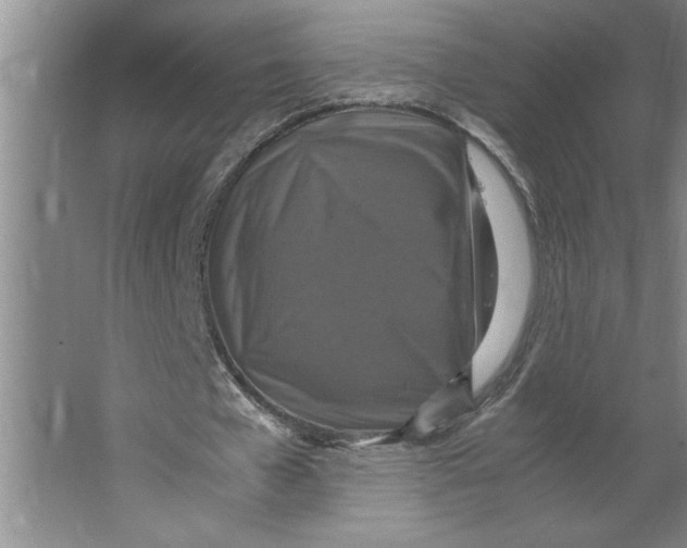X0000062150577200512301555