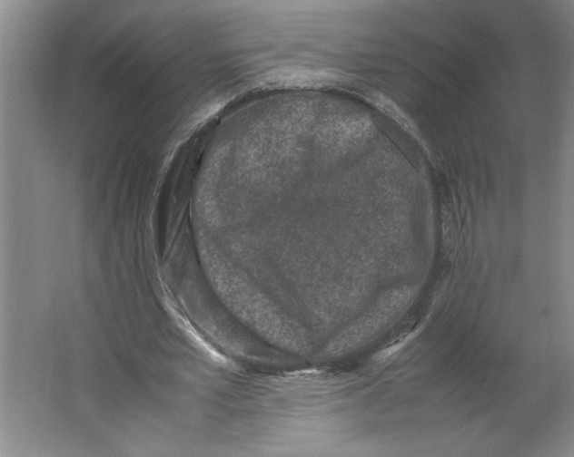 X0000062150581200512301555