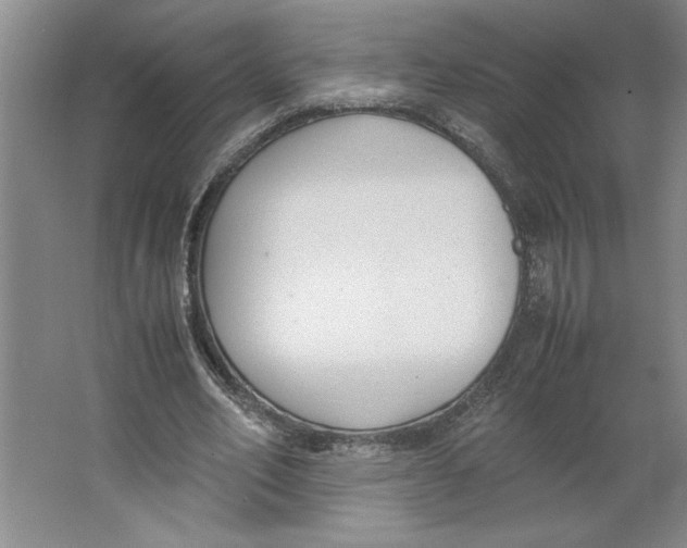 X0000062150582200512301555
