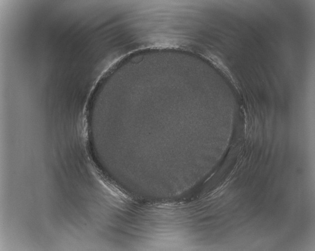X0000062150584200512301555