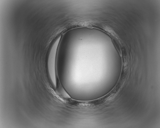X0000062150585200512301555