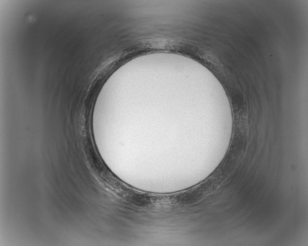 X0000062150587200512301555