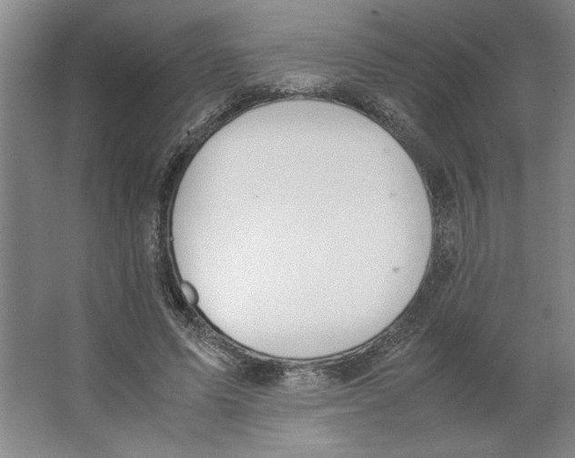 X0000062150591200512301555