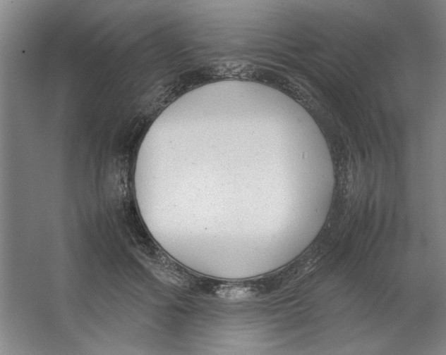 X0000062150602200512301555