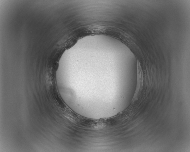 X0000062150604200512301555