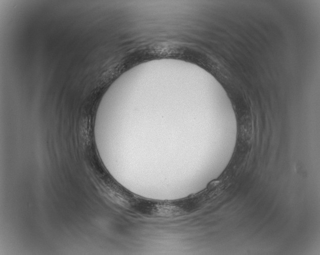 X0000062150605200512301555