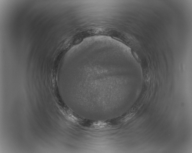 X0000062150607200512301555