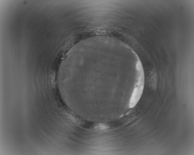 X0000062150610200512301555