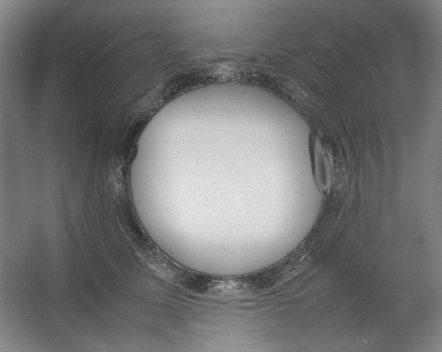 X0000062150611200512301555