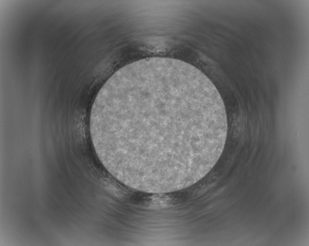 X0000062150612200512301555