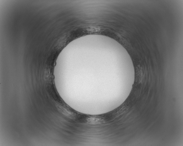 X0000062150614200512301555