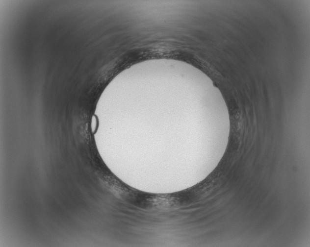 X0000062150615200512301555
