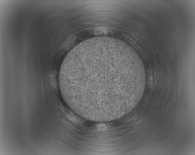 X0000062150616200512301555