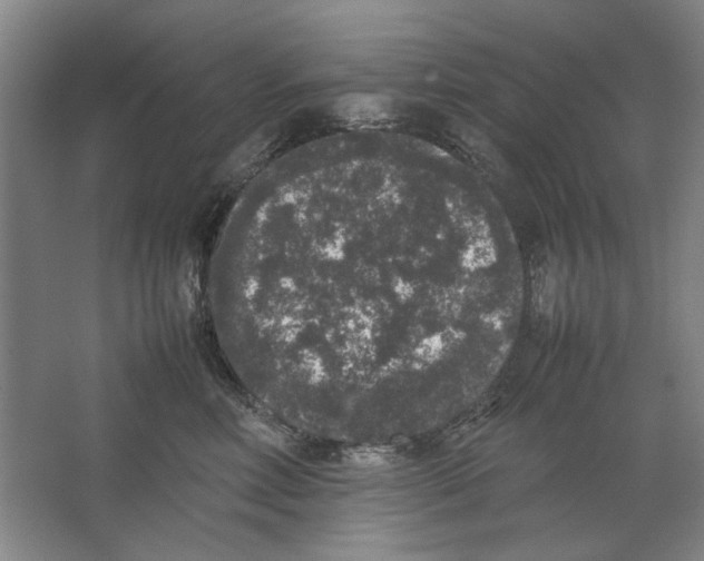 X0000062150618200512301555