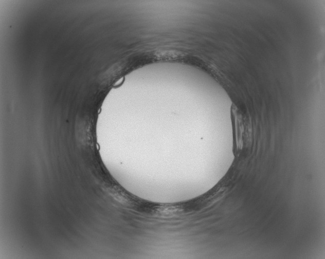 X0000062150619200512301555