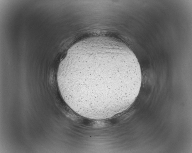 X0000062150623200512301555