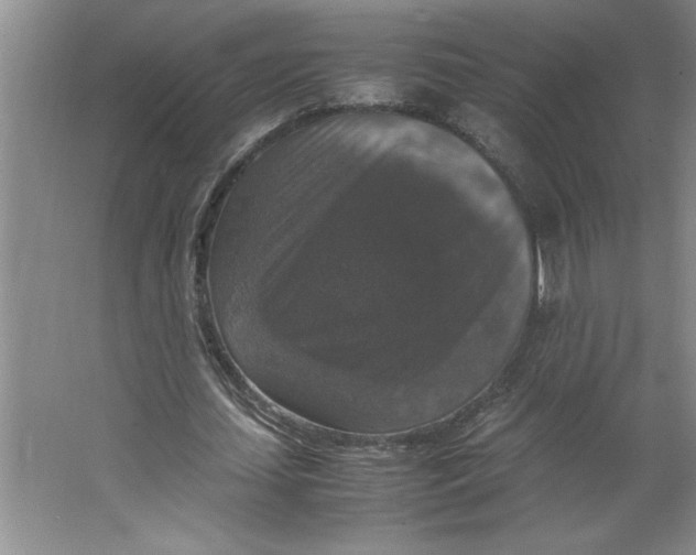 X0000062150627200512301554
