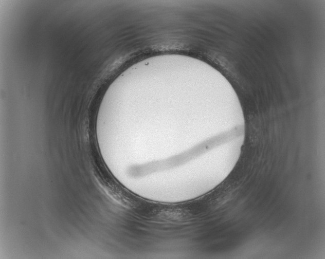 X0000062150631200512301554