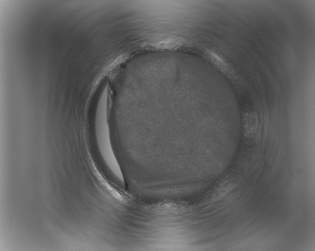 X0000062150634200512301554