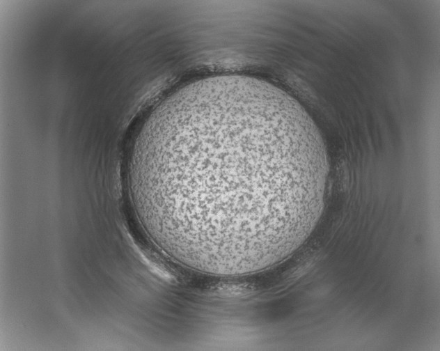 X0000062150638200512301554