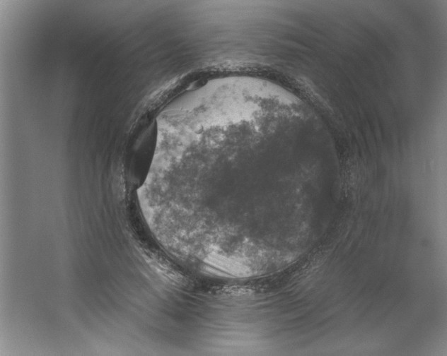 X0000062150640200512301554