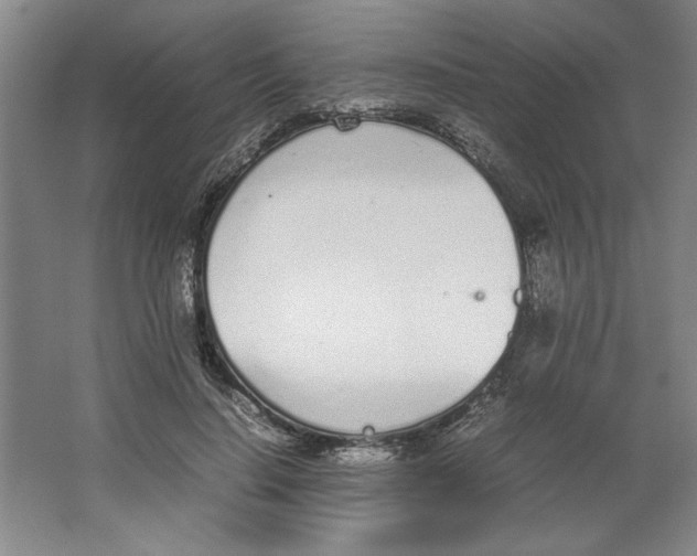 X0000062150644200512301554