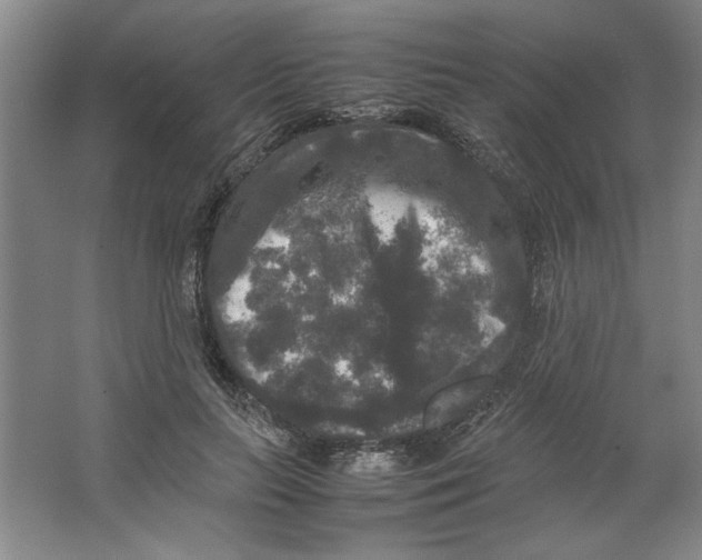 X0000062150647200512301554