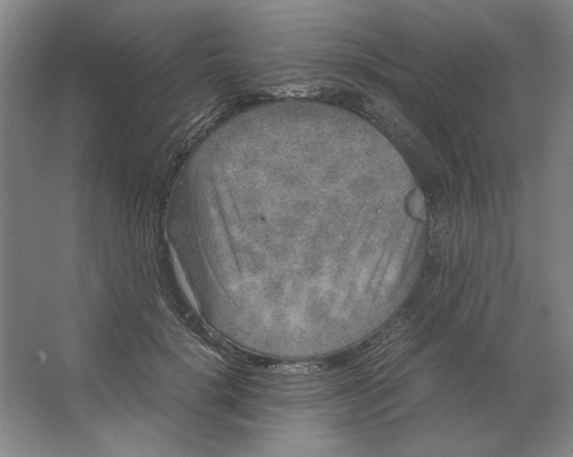 X0000062150652200512301554