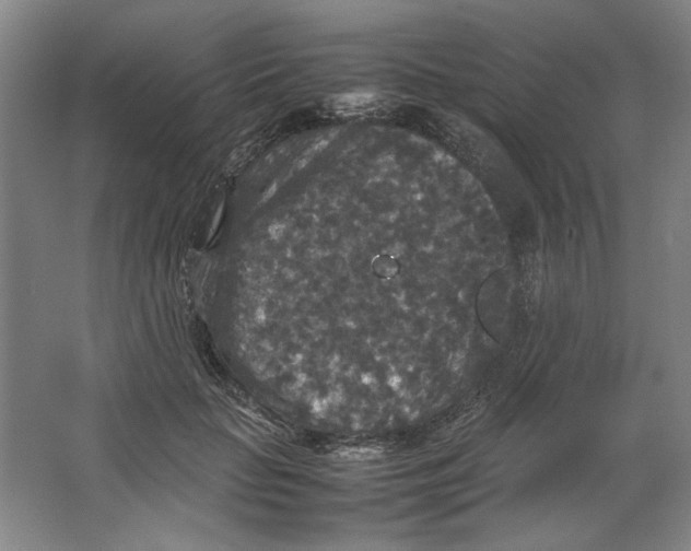 X0000062150653200512301554