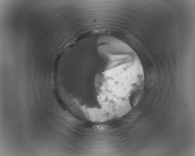 X0000062150654200512301554