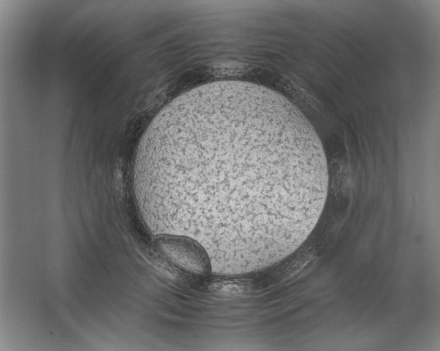 X0000062150655200512301554
