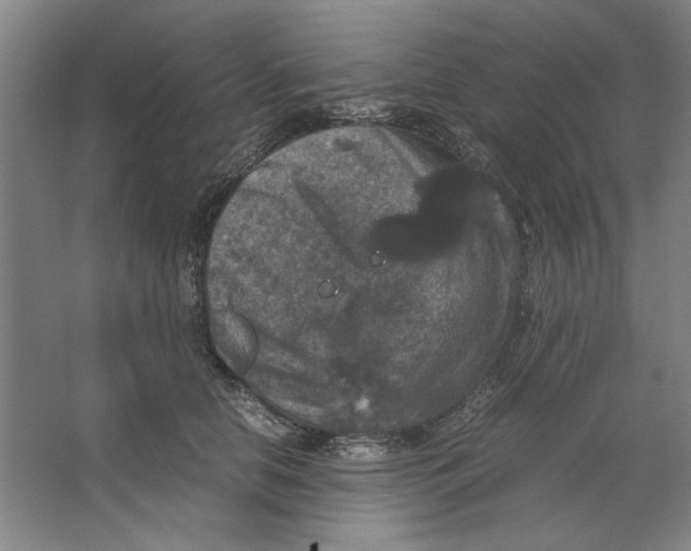 X0000062150658200512301554