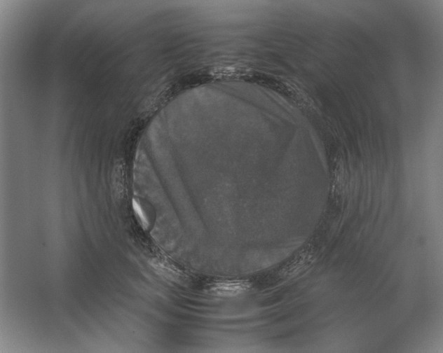 X0000062150659200512301554