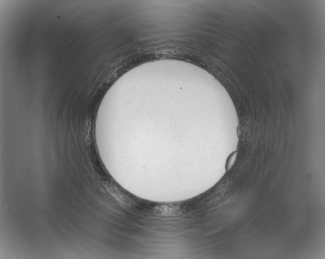 X0000062150660200512301554