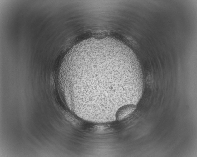 X0000062150662200512301554