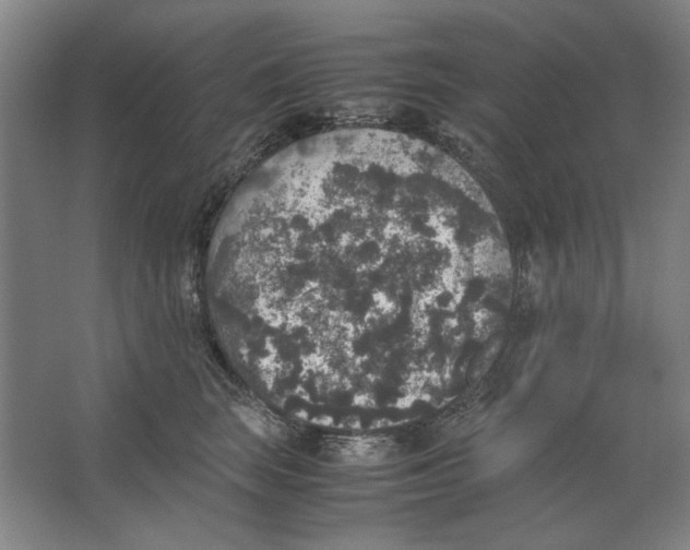 X0000062150663200512301554