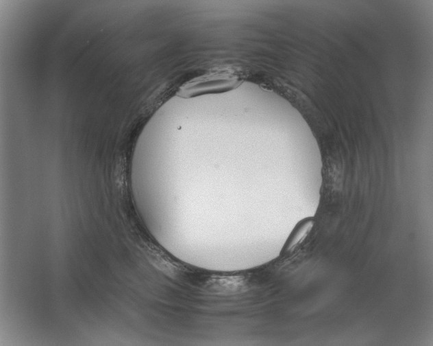 X0000062150665200512301554