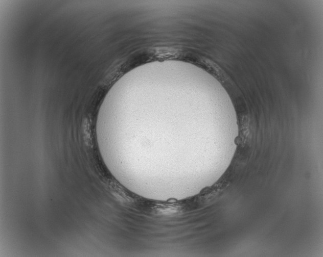 X0000062150667200512301555