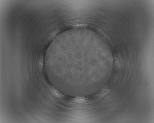 X0000062150668200512301555