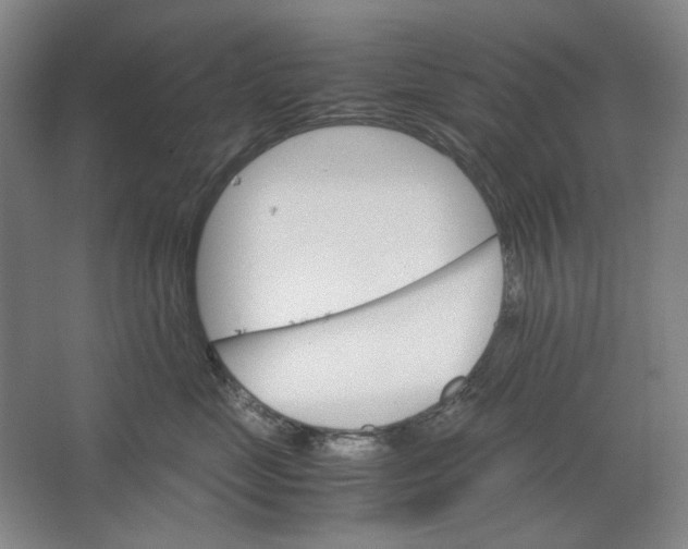 X0000062150669200512301555