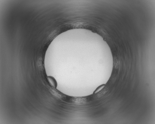 X0000062150670200512301555
