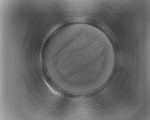 X0000062150674200512301554