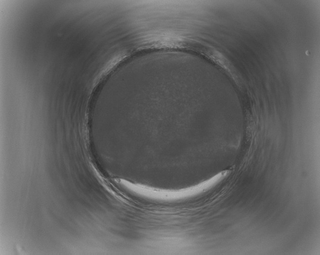 X0000062150677200512301554