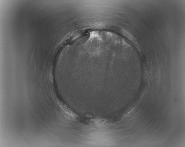 X0000062150681200512301554