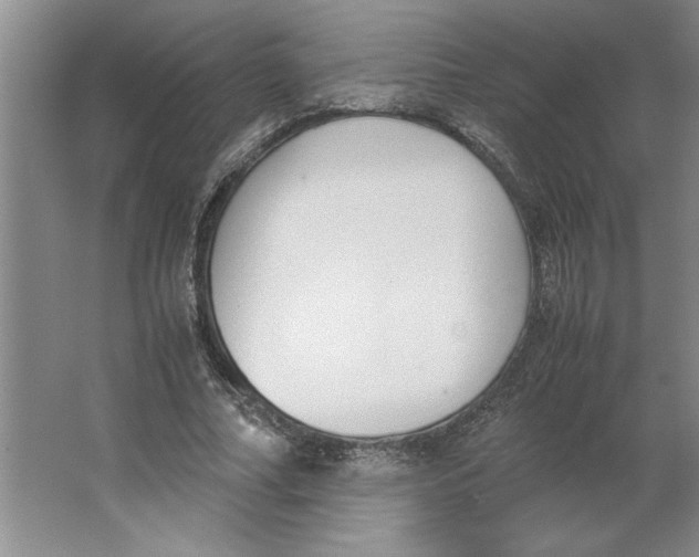 X0000062150682200512301554