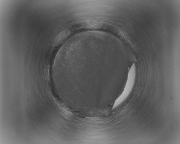 X0000062150685200512301554