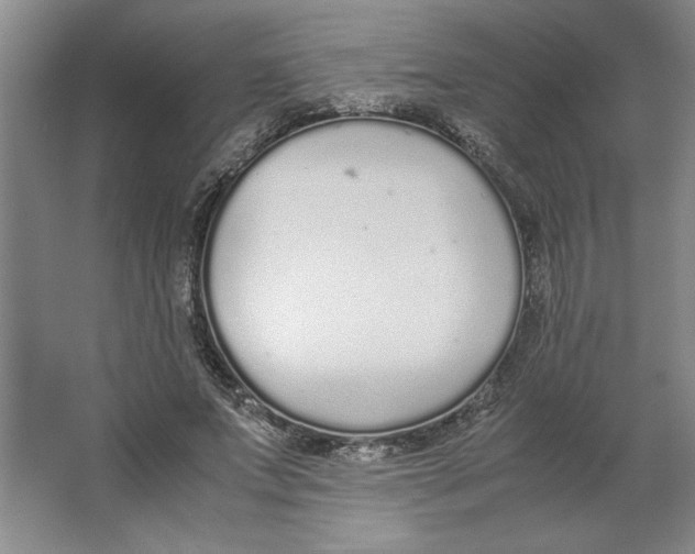 X0000062150687200512301554
