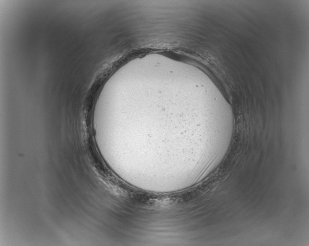 X0000062150688200512301554