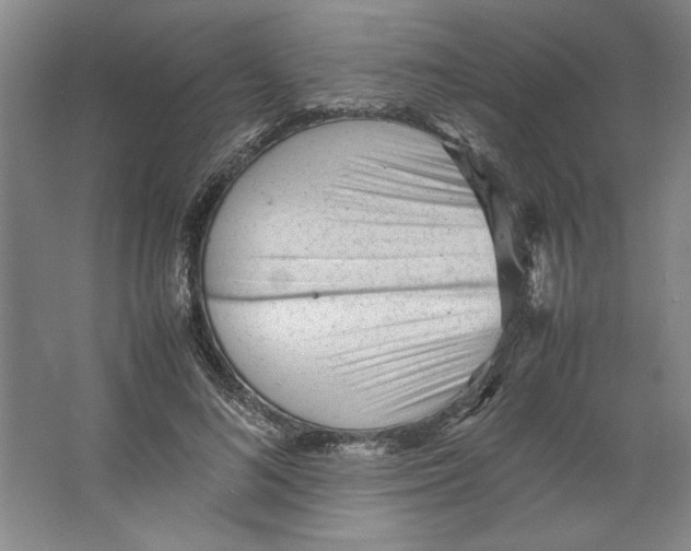 X0000062150692200512301553